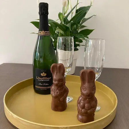 O Zee App,garage 200m En Centrum