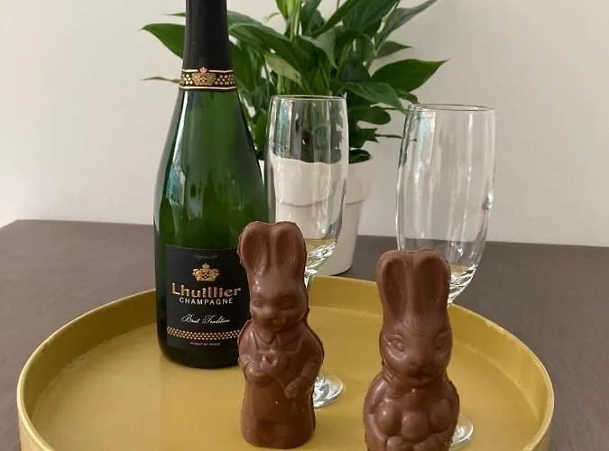 O Zee App,garage 200m En Centrum